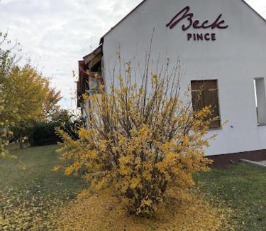 Hajos Apartamento | Beck Pince