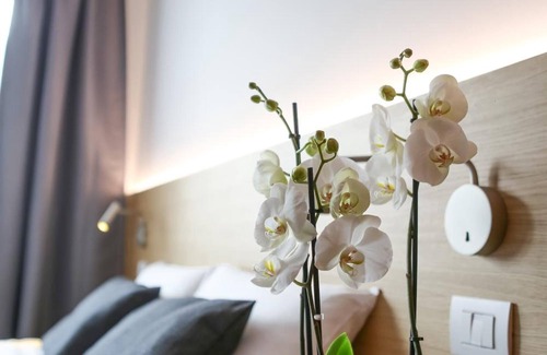 Sud-Ovest Casa | Bed and Bike Verona