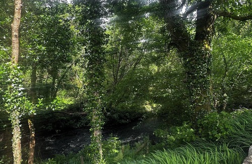 Moyard Cama Y Desayuno | bed and breakfast 10 minutes from clifden town, peaceful and private