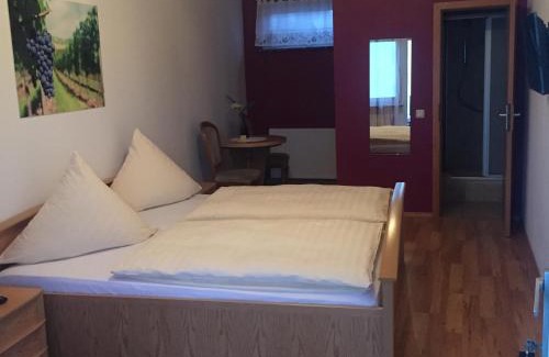 Mainz-Bingen Cama Y Desayuno | Bed and Breakfast - Rheingauer Hof