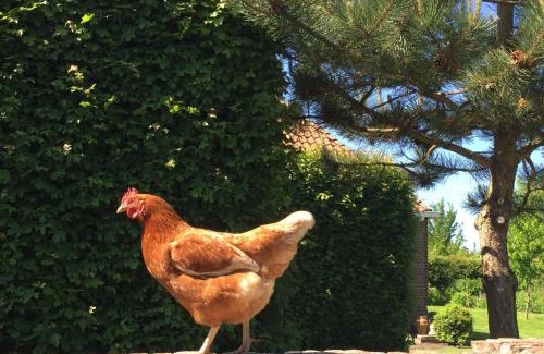Itens Cama Y Desayuno | Bed and breakfast Zathe De Spieker