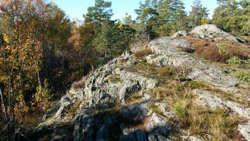 Johanneshov Cama Y Desayuno | Bed&Breakfast in nature 12 min from city free bikes