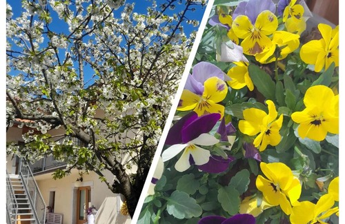 Borgo Grotta Gigante Cama Y Desayuno | Bed & Breakfast Barbara