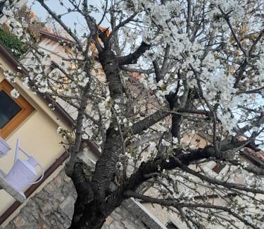 Borgo Grotta Gigante Cama Y Desayuno | Bed & Breakfast Barbara