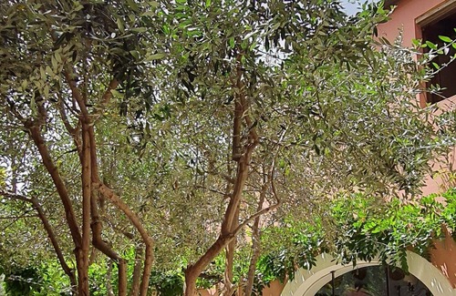 San Vito Cama Y Desayuno | bed & Breakfast