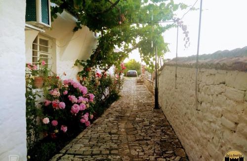 Berat Casa | Bed & Breakfast JOSIPH