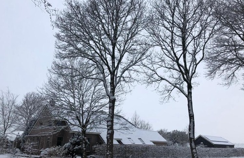 Sellingen Cama Y Desayuno | Bed & Breakfast Ter Borg