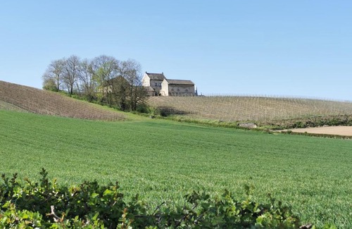 Maastricht Cama Y Desayuno | Bed en Breakfast Hof van Wolder