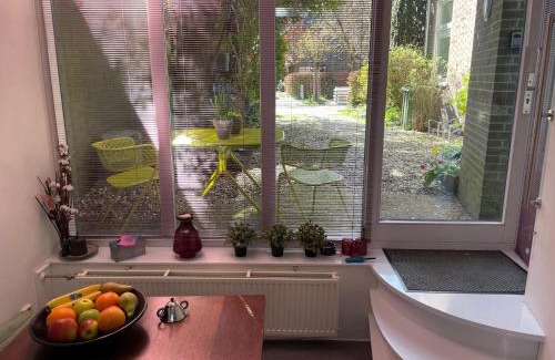 Oranjebuurt Apartamento | Bed & Office 050