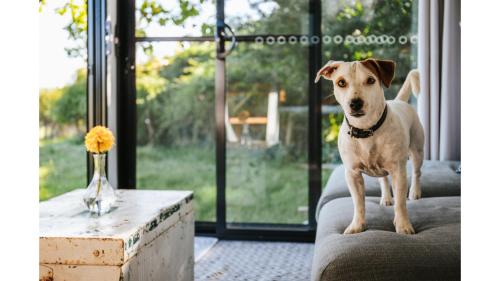 Braidwood Casa | Bedervale Tiny by Tiny Away