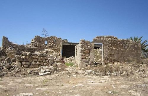 Al Batuf Cama Y Desayuno | bedouin guest house