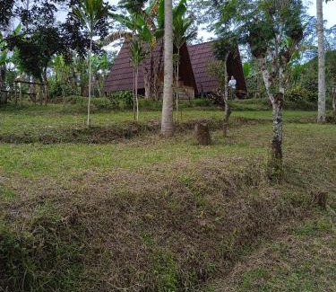 Wanagiri Otro | Bedugul puncak& giri camp
