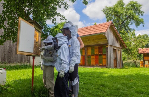 Ribnica Apartamento | Beekeeping Kojek