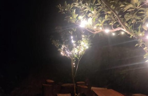 Manali Casa | Before Sunrise Cabin