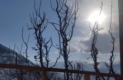 Manali Casa | Before Sunrise Cabin