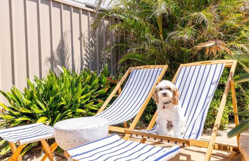 Anna Bay Casa | Bel Air, 8A Ocean Ave - pet friendly, water views and air con
