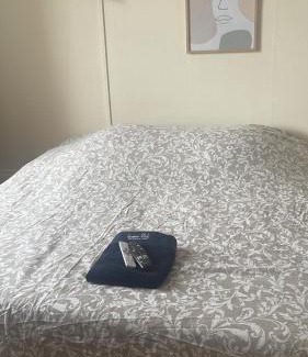 Poincare - Foch - Anatole France - Croix de Bourgogne Apartamento | Bel appartement centre gare