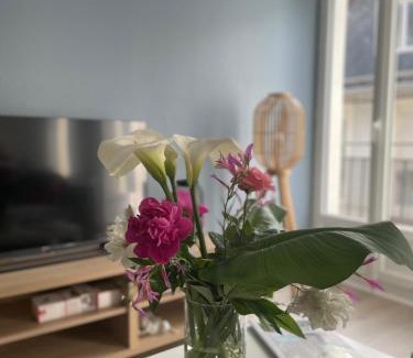 Bagneres-de-Luchon Apartamento | Bel appartement T3 au 1er étage avec cour intérieure au RDC - Villa Marie
