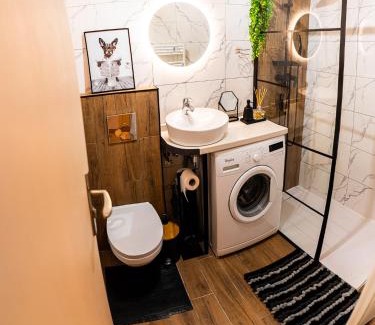Sibiu Apartamento | Bela Studio