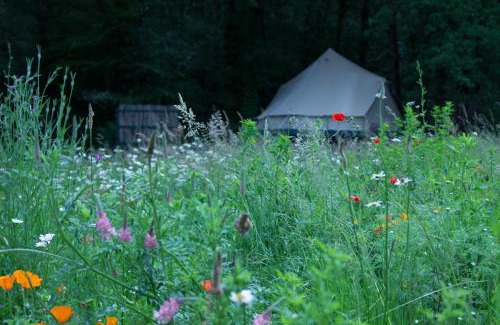Champagnac-de-Belair Otro | Belair le Camping