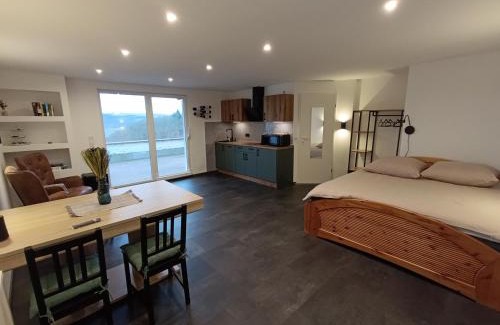 Uerzig Cabina | BelaVista'nBed - Peaceful Studio with private Terrace and Amazing Mosel Valley Views