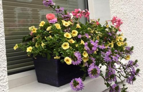 Belfast Casa | Belfast townhouse in prime location in Belfast City