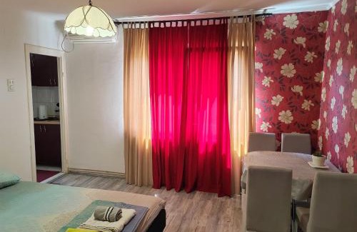 Dorcol Apartamento | Belgrade Silicon Alley - City center