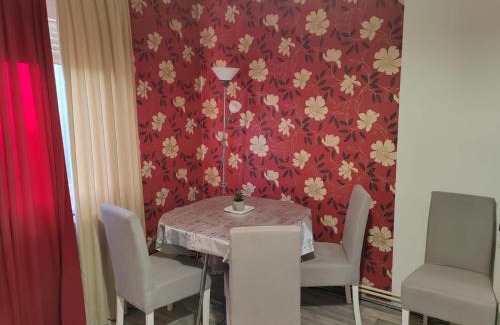 Dorcol Apartamento | Belgrade Silicon Alley - City center