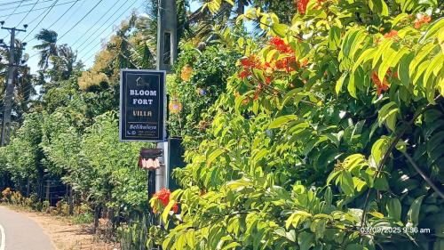 Dambulla Cabina | Belihuloya Bloom Frot Villa