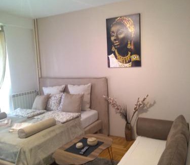 Vozdovac Apartamento | Belimedik
