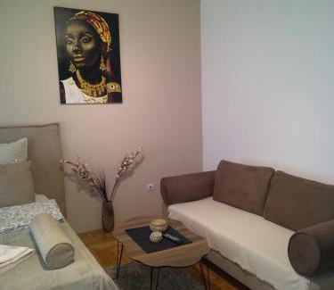 Vozdovac Apartamento | Belimedik