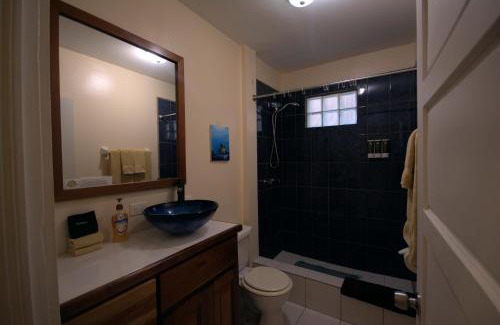San Pedro Hotel | BELIZE TROPICAL DREAM VILLAS
