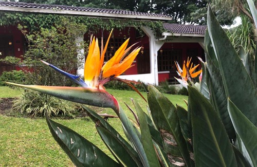 Santa Cruz Verapaz Hotel | Bella Verapaz Hotel y Restaurant