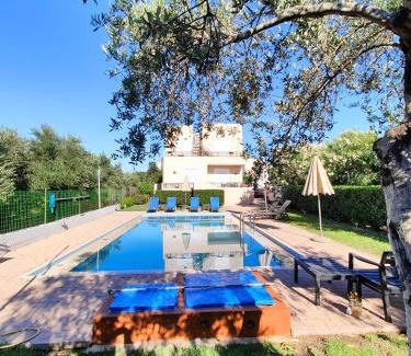 Kolymvari Casa | Bellavista Gardens Skoutelonas