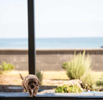 Henley Beach South Casa | Belle Escapes - Sea Glass Cottage on the Esplanade