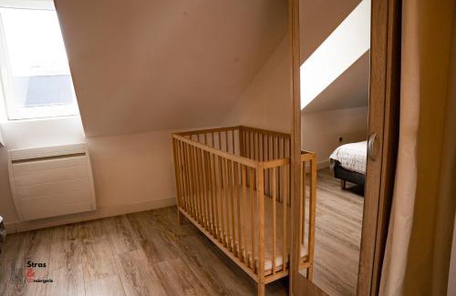 Poincare Apartamento | Belles combles alsaciennes au centre de Strasbourg