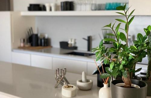 Povile Apartamento | Bellevue
