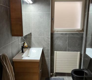 Morcote Apartamento | Bellissimo appartamento con giardino sul lago di Lugano