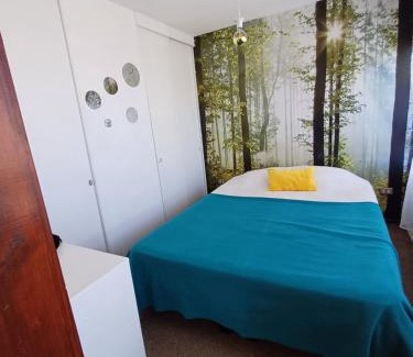 Vina del Mar Apartamento | Bello Departamento de 1 dormitorio, VIÑA DEL MAR, Villa Dulce