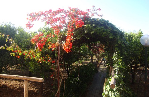 Sant'Andrea Bonagia Apartamento | apartamento belvedere
