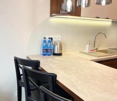 Piotrkow Trybunalski Apartamento | Belzacka Studio