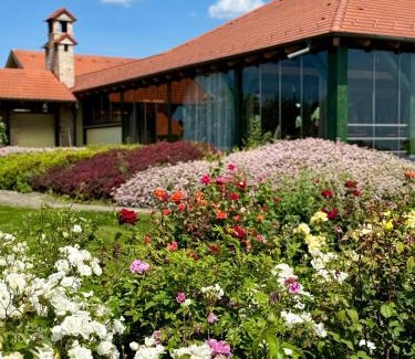 Cegled Casa | BÉNI family wine farm