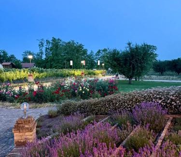 Cegled Casa | BÉNI family wine farm