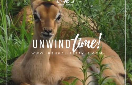 Lobamba Casa | Benka LifeStyle Country Cottages