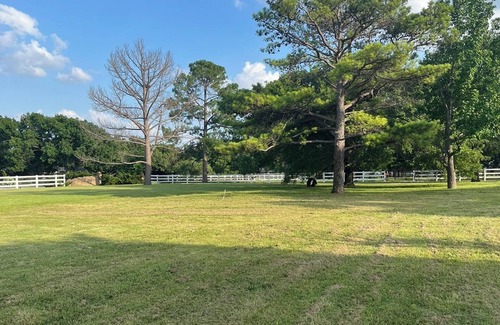 Keller Alquiler De RV | Benson Homestead and Stable - RV Camping Spot