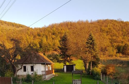 Erdohorvati Apartamento | Berényi apartman