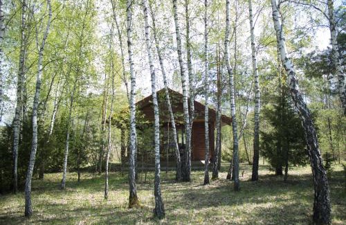 Alytus county Cabina | Beržų namelis - Birch cabin