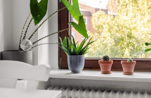 Western Ring Area Apartamento | #BER02 beautiful 2 room apartment directly at the park