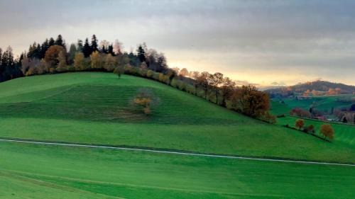Pfaffnau Cama Y Desayuno | Berghof Erlebnis AG