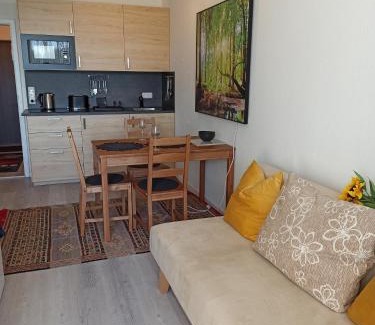 Sankt Englmar Apartamento | Berghof Studio Haus Rachel mit Pool